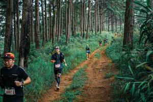 BIB: 
                            <button type="button" onclick="openModal(25655009)" class="btn btn-primary btn-sm float-right btn-popup" data-toggle="modal" data-target=".modal-high-quality">
                        <i class="fas fa-shopping-cart"></i> Add to Cart
                    </button>
                                            <button type="button" onclick="isThisMe(25655009, true)" class="btn btn-success btn-sm float-right btn-popup btn-isme hidden" data-toggle="tooltip" data-placement="bottom" title="นี่คือรูปของคุณใช่ไหม คลิกที่นี่เพื่อเอาเข้าอัลบั้ม">
                        <i class="fas fa-plus"></i> Add to album
                    </button>
                    <button type="button" onclick="isThisMe(25655009, false)" class="btn btn-warning btn-sm float-right btn-popup btn-isnotme hidden">
                        <i class="fas fa-ban"></i> Remove from album
                    </button>